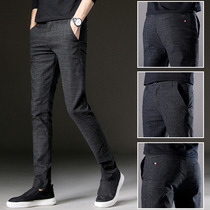 Autumn and winter thick slim small feet pants mens Korean version of the trend of wild casual pants mens elastic youth velvet slacks