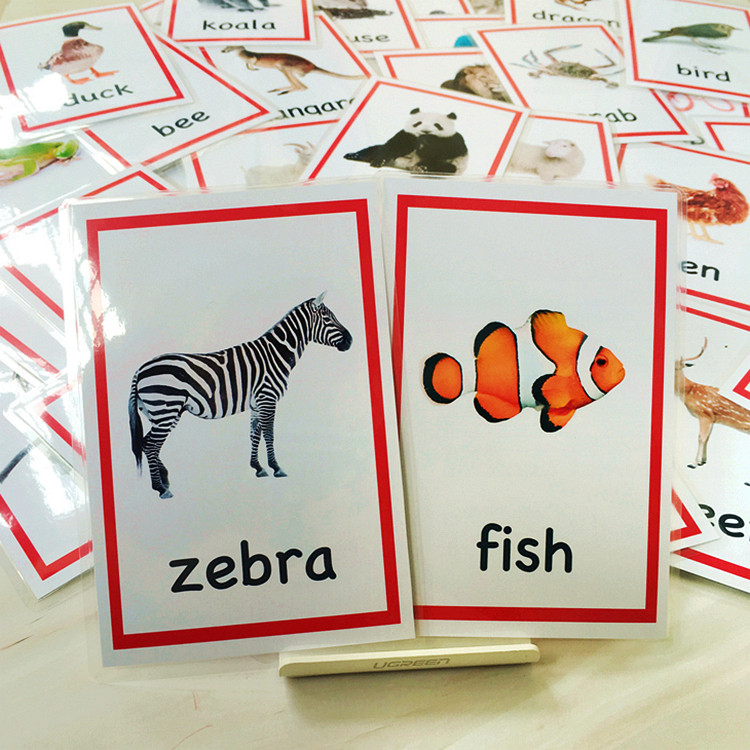 English Card FlashCard Animatal Animal Card 72 Children's Physical Picture Flashcard Early Childhood Enlightenment Teacher Teaching Aids