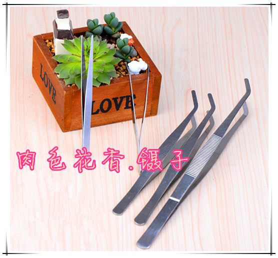 Nhíp hoa bằng thép không gỉ Hoa mọng nước Dụng cụ trồng cây Dụng cụ làm vườn Vận chuyển đầy đủ bộ vòi tưới cây