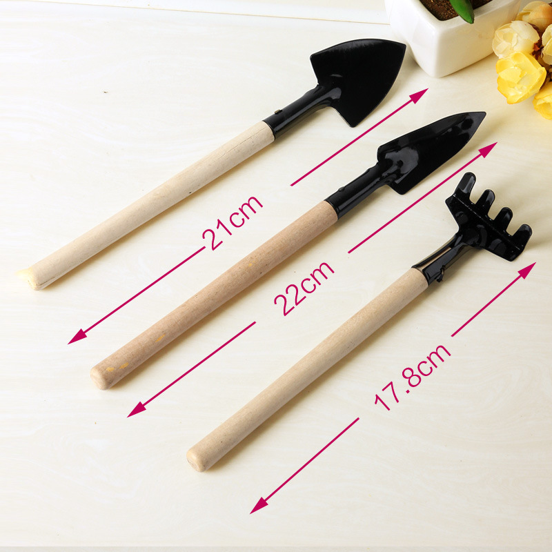 Nhíp hoa bằng thép không gỉ Hoa mọng nước Dụng cụ trồng cây Dụng cụ làm vườn Vận chuyển đầy đủ bộ vòi tưới cây