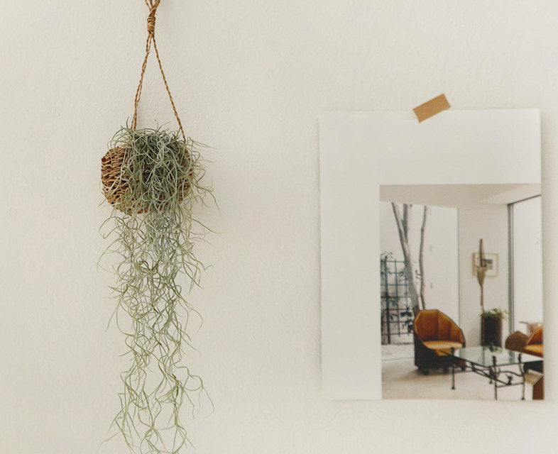 Nordic in simulation of green plant vine hanging basket hooked flower basin air pineapple old man necessarily hanging hanging basket