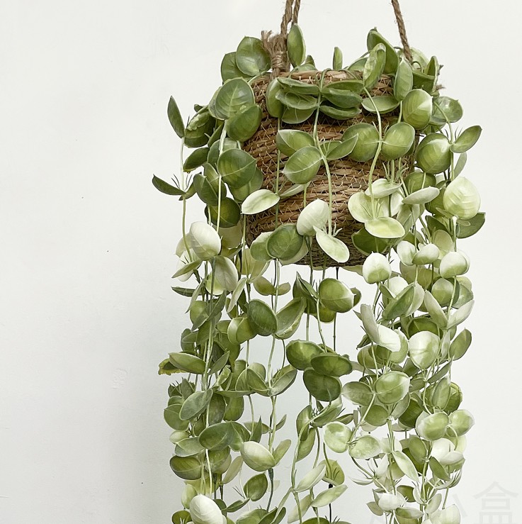 Nordic ins-emulated green plant vine-knitted hanging-hook-style flower-pot wall-mounted decoration