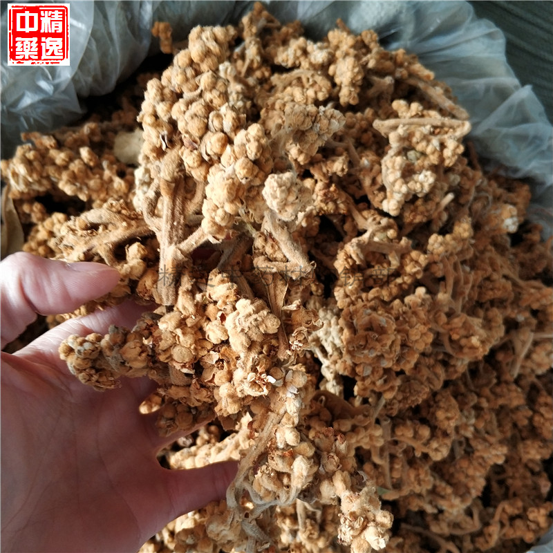 New Sun Farmhouse Loquat Flower Tea 500g Loquat Flower Buds Dried Pipa Flower Tea Saucepan Soup Material