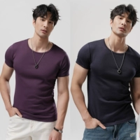 Jingya Purple + Royal Blue [T2501 модернизированный хлопок Combed]