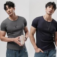 Темно -серый + королевский синий [T2501 модернизированный хлопок Combed]