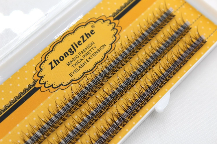 Mới tự ghép đuôi cá ghép trồng lông mi giả Lông nhím Hàn Quốc phổ biến lông mi bay - Lông mi giả