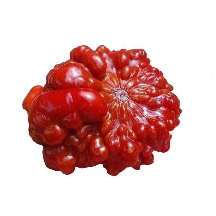 Hulu Wen play maintenance oil Walnut quick red maintenance god cream solid bamboo olive core Vajra Bodhi musical instrument maintenance oil