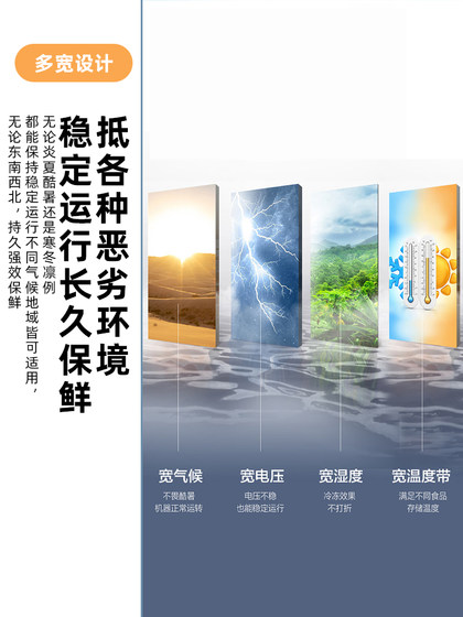 新飞218L冰柜一级能效家用商用两用冷藏冷冻双温卧式小型节能冷柜