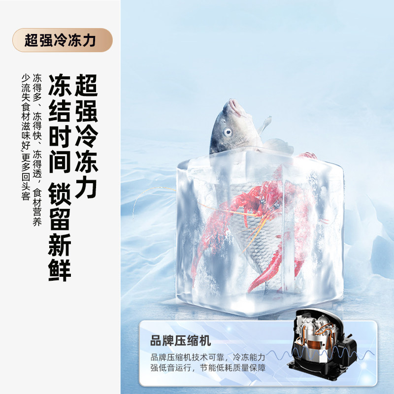 新飞BCD-185K2CT冰箱图片