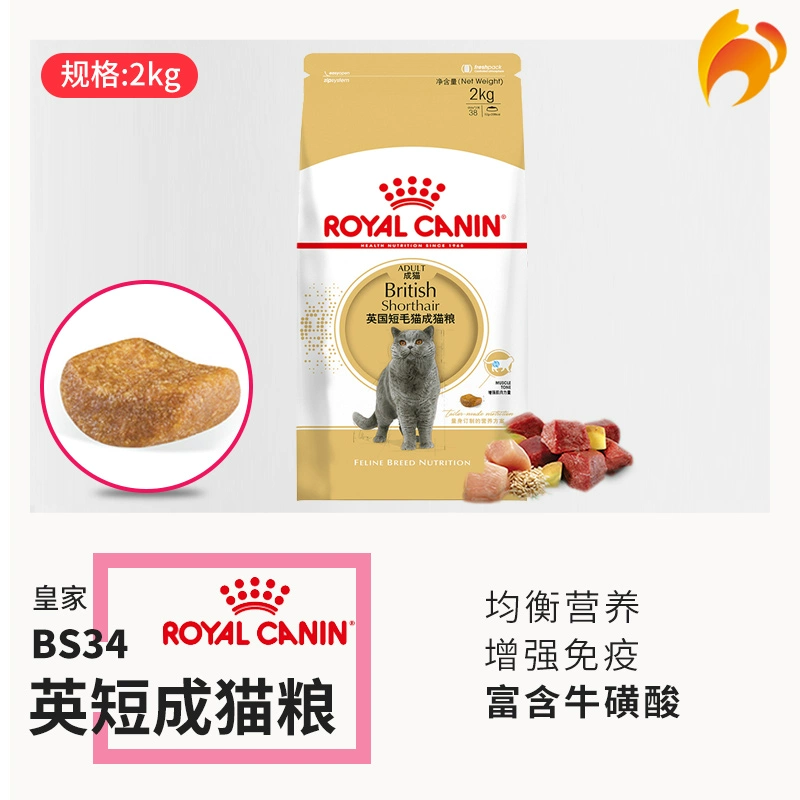 Naughty Cat-Royal Cat Food Thức ăn cho mèo lông ngắn Anh BS34 / 2KG Thức ăn cho mèo lông ngắn Anh - Cat Staples