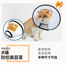 Naughty cat-Elizabeth ring cat with collar collar collar collar anti-bite ring medical beauty bath protective cover collar