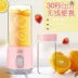 Máy xay sinh tố rau quả nhỏ cầm tay Aleld / Alred ALD-007 - Máy ép trái cây