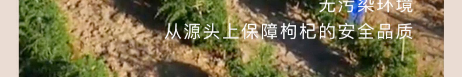 国家重点龙头企业 沃福百瑞 2022年特级头茬枸杞 250gx2罐 26.8元包邮 值值值-买手聚集的地方