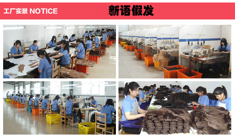 Perruque OTHER   Harsh pelucheux confirme - Ref 2609672 Image 8