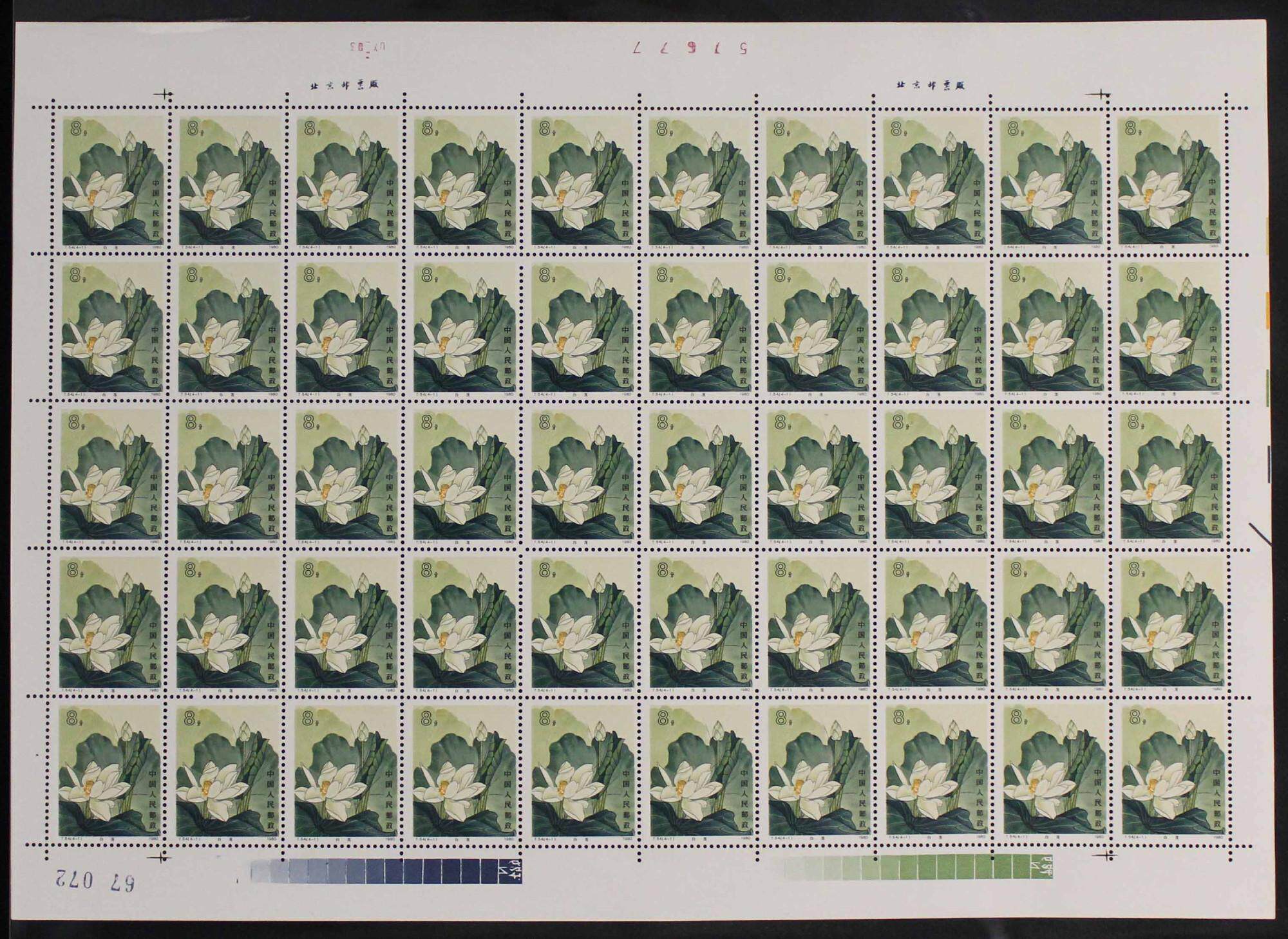 T54 Lotus (4-1) white lotus 8 points 50 large version of the yellowish version of the blue specimen color label as shown in the figure