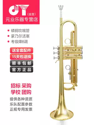 Golden sound trumpet B- flat JYTR-2000G beginner trumpet