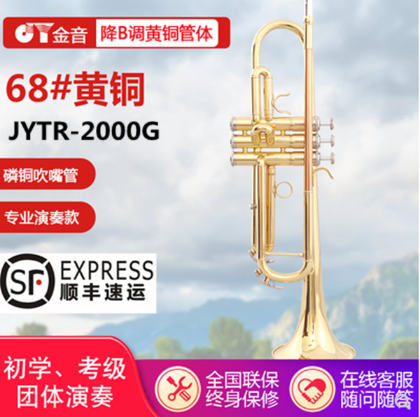 Golden sound JYTY-2000 gold and silver small number of musical instruments