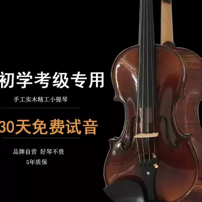 Violin beginner introduction Handmade solid wood professional examination exam high-end ebony children's students