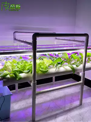 Balcony simple soilless cultivation equipment 90 large tube hydroponic strawberry salad lettuce Basil indoor plant lamp planting