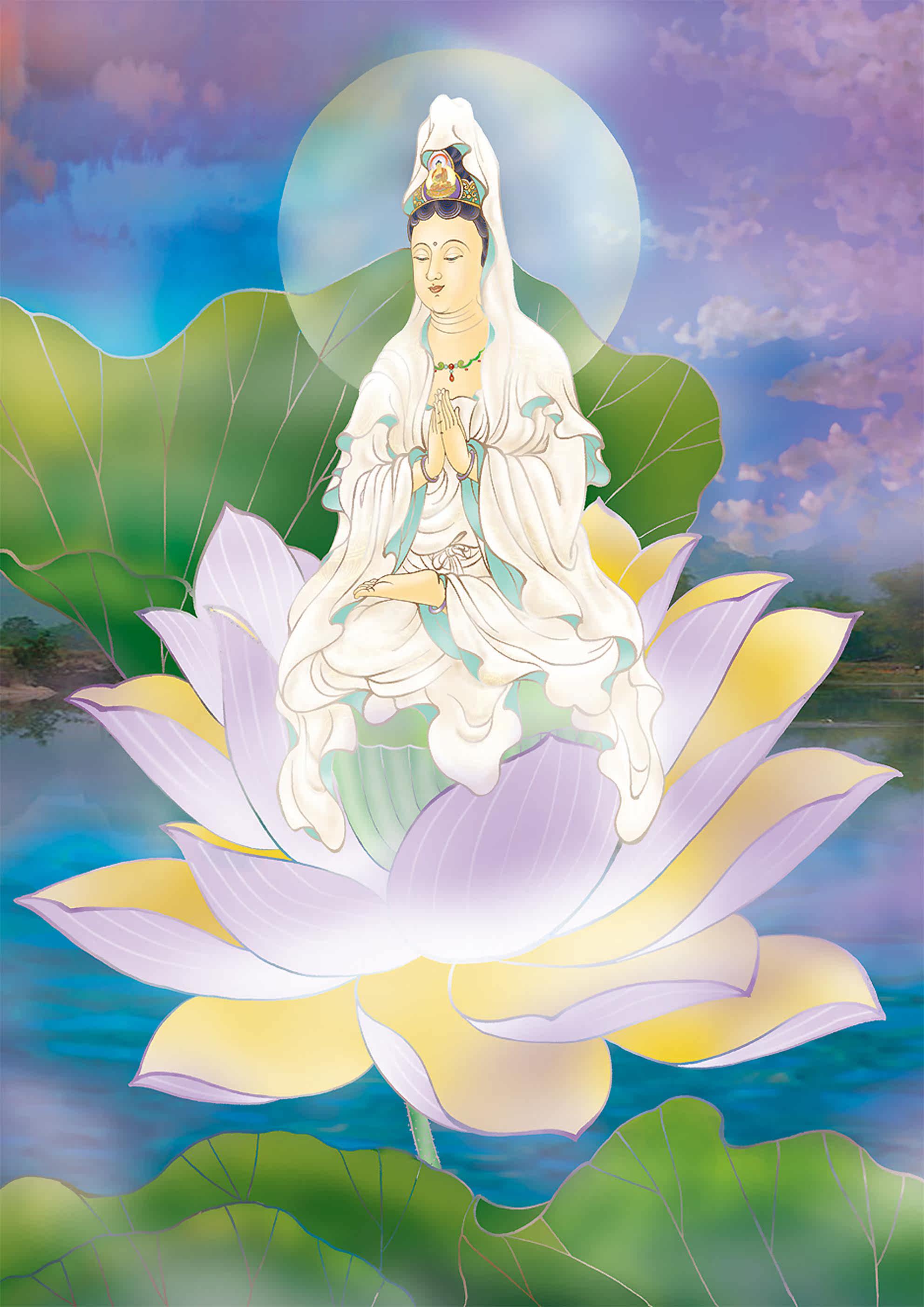 Customize the Three-thirteen View Audiovisual Map South without a view The BodhisattBodhisattva Guanyin Yang Lyu Guanyin Guanyin Guanyin