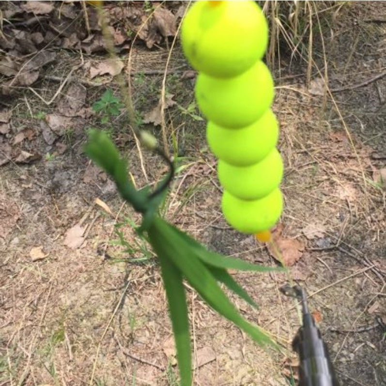 Luya grass carp fishing group Luya fishing grass carp floating ball fishing grass carp sea rod fishing grass carp float