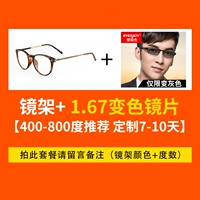 С 1,67 цветовым трансформатором [400-800 градусов Рекомендуется настройка 7-10 дней]