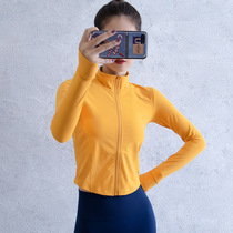 Short navel slim gym clothes running training leisure sports coat stand collar zipper quick-drying long sleeve yoga suit