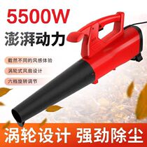 Blower Blower High Power Clear Ash Blow Ash Bower Industrial Electric Dust Removal Machine Blows Larder Wind Machine Strong Wind