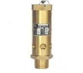 Spot supply Shanghai Evers Safety Valve A28X-16T DN10