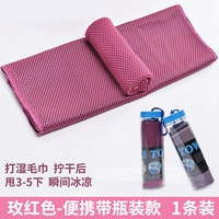 Розовые красные бутылки [1 установка]