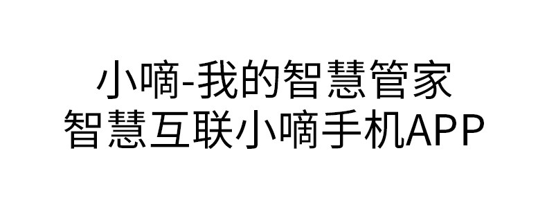 德施曼 小嘀 V5 智能指纹锁 四合一解锁 图17