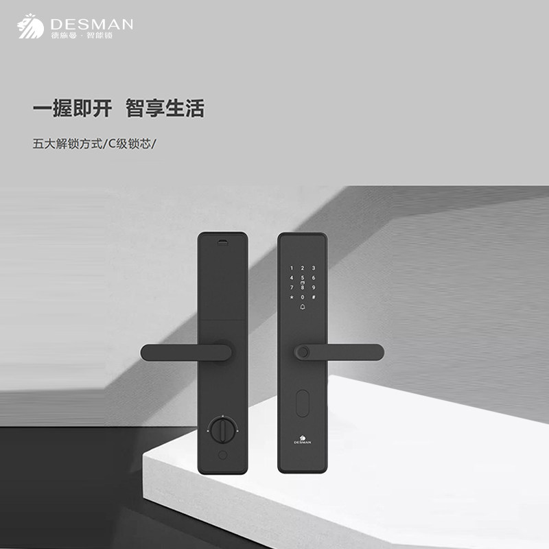 Deschmann's straight plate with a smart lock G109-Taobao