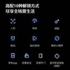 Deschmann Qilin Q50F (Lower Camera Version) Brand New Dual-Camera Cat-Eye Facial Recognition Smart Lock