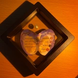 Опыт интересных мидий, паломничные цветные банки маленькая речная мидия Слепая коробка, одна мидия, одна жемчужина, пресноводная жемчужная слепая коробка, мидия