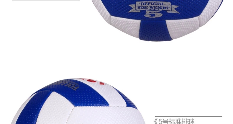 Ballon de volley-ball - Ref 2010065 Image 7