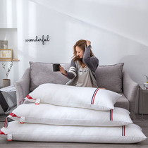 Cotton double pillow Couple pillow One-piece long pillow with pillowcase Net Red extended household sleeping pillow core