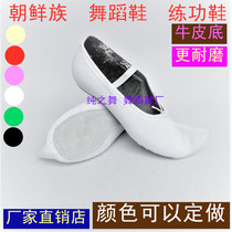 Korean Men and Men Classical Indoor Dance Shoe Butou Hook Shoes Adults Soft Bottom Shoes Dance Practice Shoes Performance Shoes