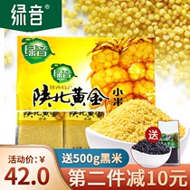 Green sound oil millet Shaanxi specialty special rice fat yellow millet farm new millet grain 1500g