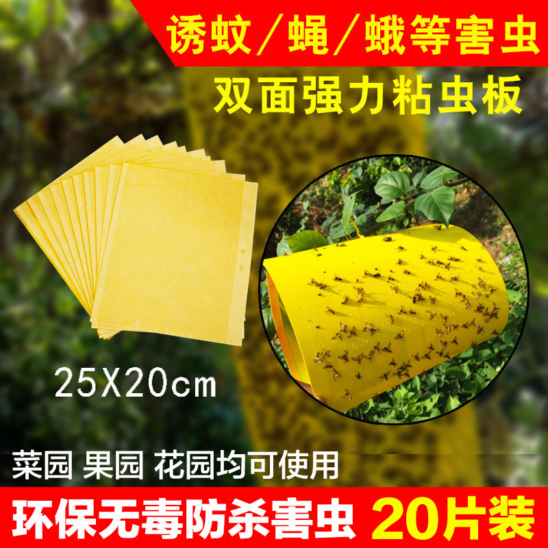 Armyworm board Yellow board Trap board Balcony vegetable garden Orchard Mosquito killing black insect killing small flying insect Fruit fly Home gardening