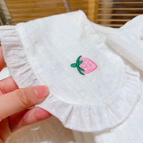 Мультяшный мегафон, весенняя рубашка, с вышивкой