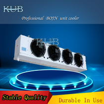 Brand new hot-selling BMT066 SEK cold storage air cooler Cold storage evaporator heat exchanger Vegetable fruit fish fan
