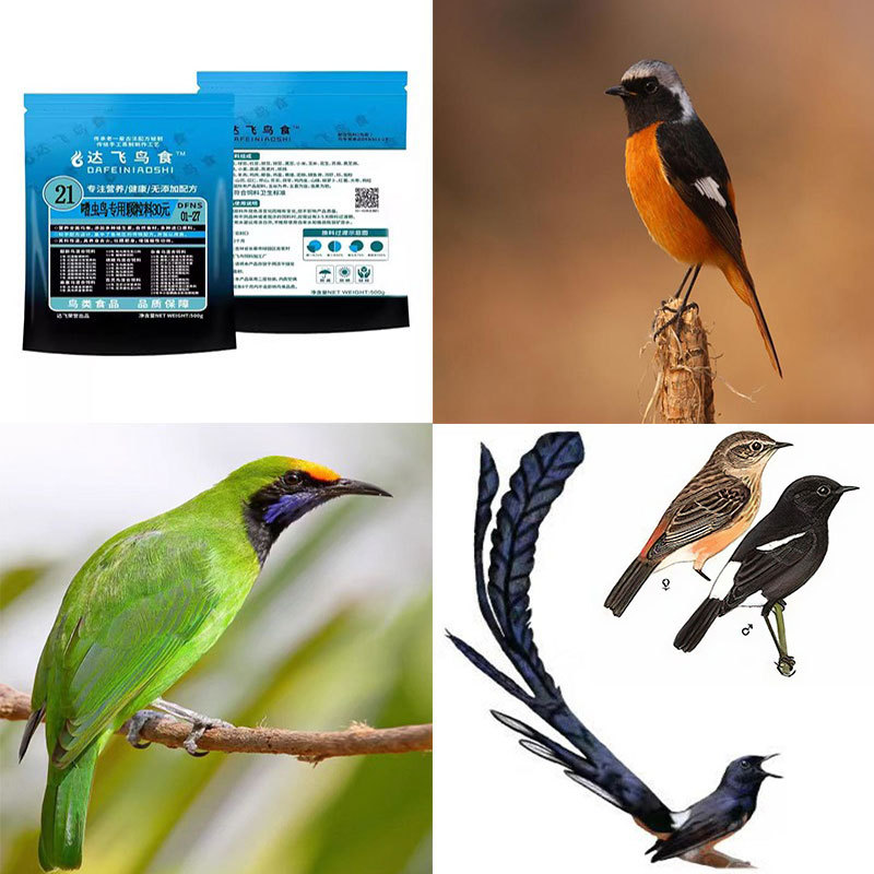 Dafei Bird Food No. 21 Insect-Eating Bird Food for White-Bellied Nuthatch, Gray Swallow, Four-Pleasure Swallow, Little Black and White Swallow, Orange-Bellied Nuthatch, Leaf-Billed Starling Dafei Bird Food No. 21 Insect-Eating Bird Food for White-Bellied Nuthatch, Gray Swallow, Four-Pleasure Swallow, Little Black and White Swallow, Orange-Bellied Nuthatch, Leaf-Billed Starling