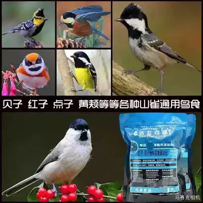Dafi Bird Food No. 20 Red-born Beezi Special Bird Food Pasta Powder Cess Foot Noodles Bird Food