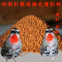 Dafei Bird Food № 4 Red 料 Измените Mao mao 靛颏 靛颏 靛颏 靛颏 达 料 靛颏 靛颏 靛颏 靛颏 靛颏 靛颏 达 达 达 达 达 达 达 达 达 达
