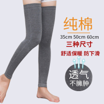 Cotton leg guards for men and women warm in autumn and winter old cold legs thick calf sports joint sheath