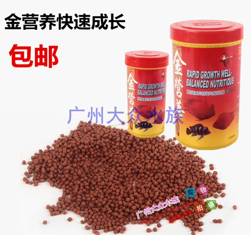 Gold nutrition fast growth nutrition balanced fish feed ornamental fish tropical fish breeding fish food small medium grain