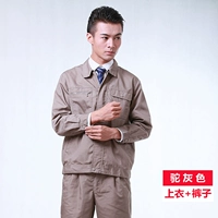 Верблюд серой