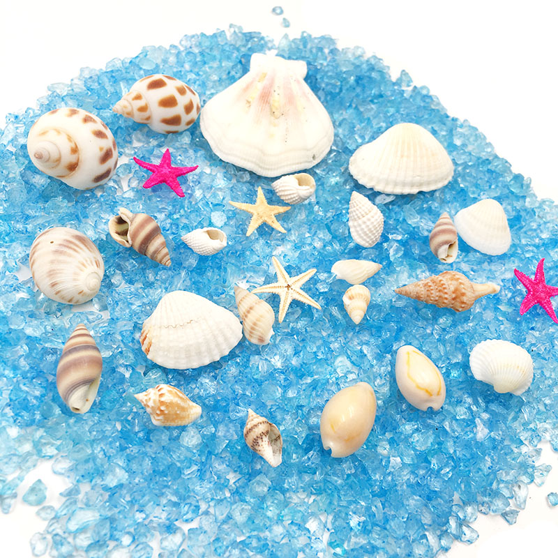 Handmade material small sea shell of Mediterranean beach ocean microlandscape crystal adhesive diy accessories