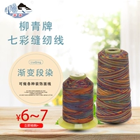 柳青牌 Duan Dye Gradient Sewing Decorative Emelcodery Rase Crafts Polyester Line