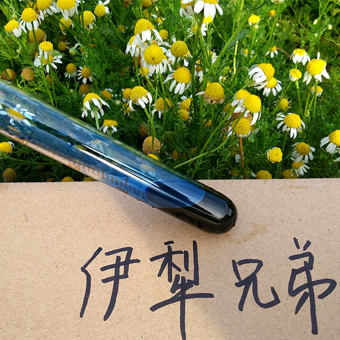 Reich German chamomile essential oil Blue chamomile essential oil aromatic Liaofa DIY formula good essential oil